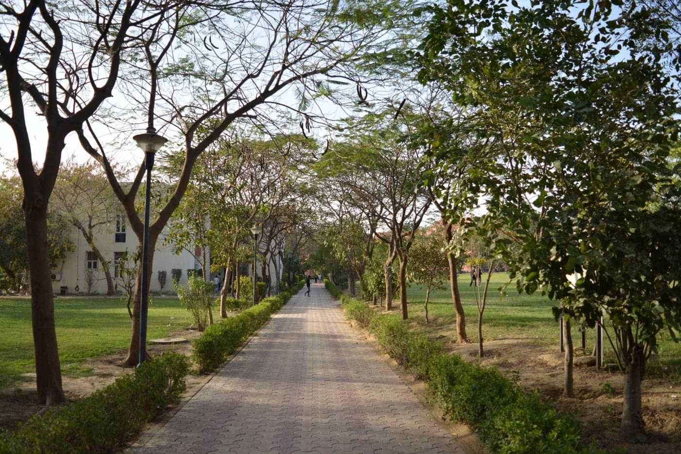 JK Lakshmipat University Jaipur Campus photo 76