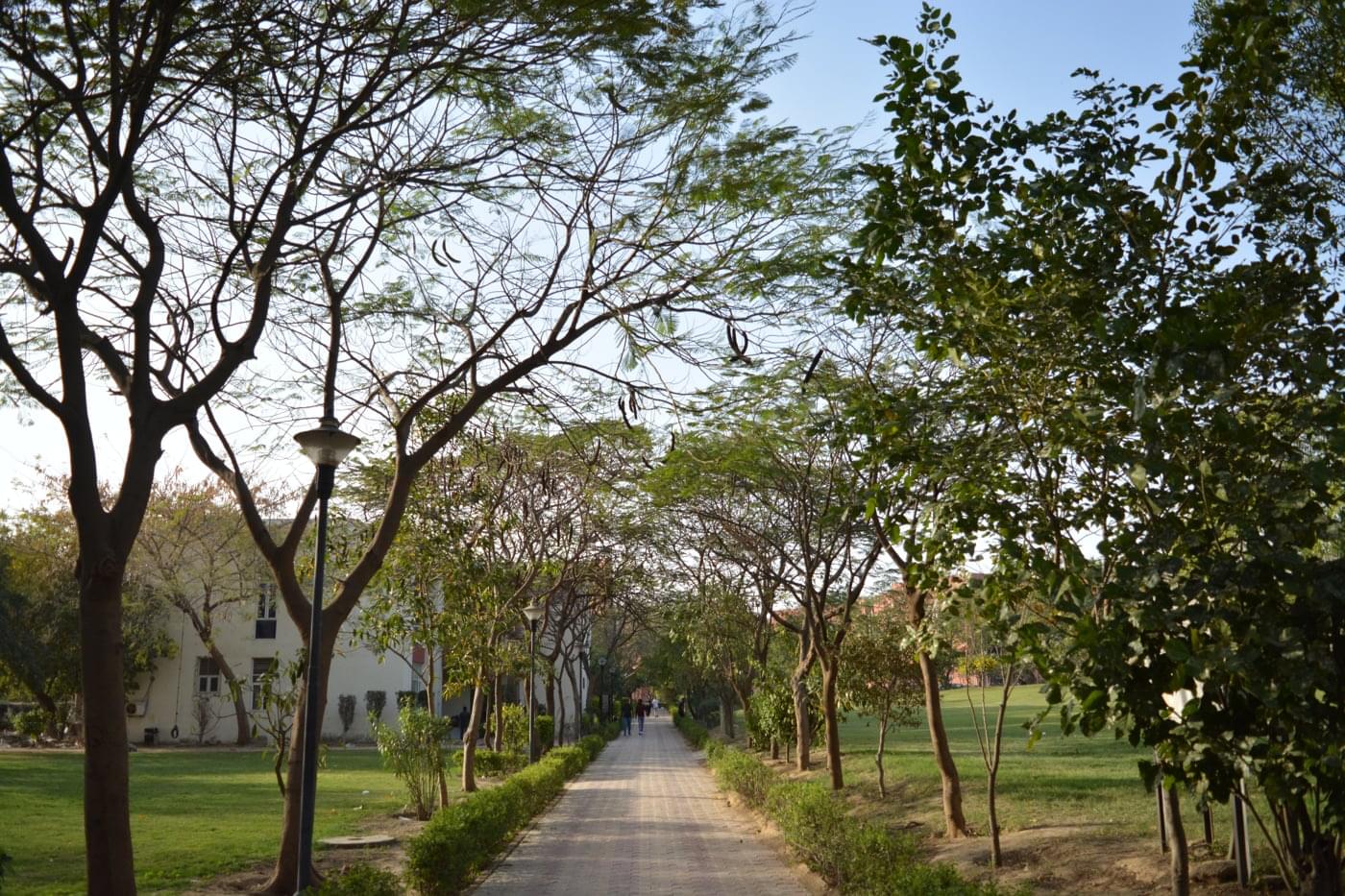 JK Lakshmipat University Jaipur Campus photo 77