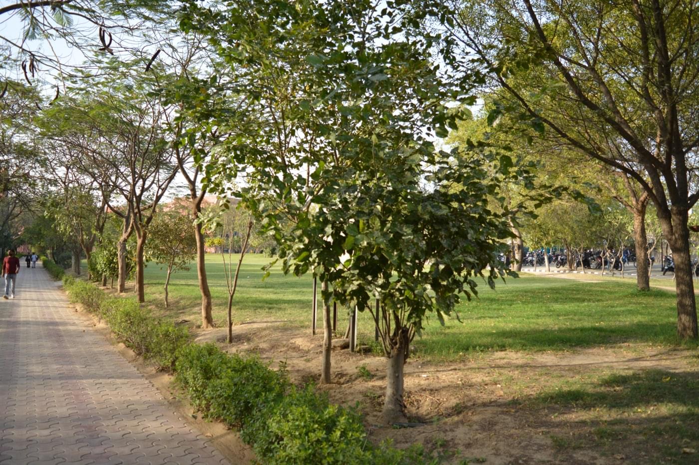 JK Lakshmipat University Jaipur Campus photo 78