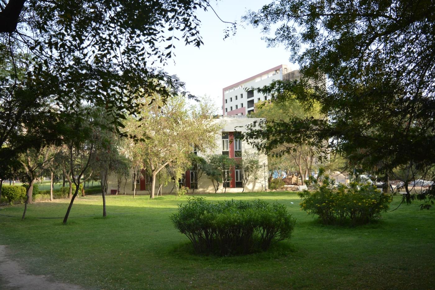 JK Lakshmipat University Jaipur Campus photo 79
