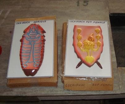 Saraswati Mahila Mahavidyalya Kanpur Department Instruments Images photo 3