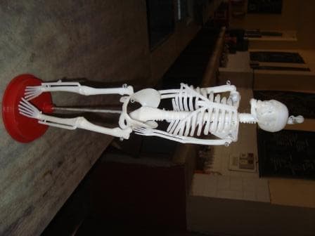 Saraswati Mahila Mahavidyalya Kanpur Department Instruments Images photo 2