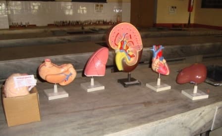 Saraswati Mahila Mahavidyalya Kanpur Department Instruments Images photo 5