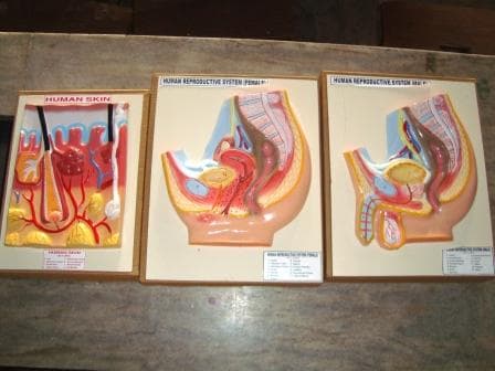 Saraswati Mahila Mahavidyalya Kanpur Department Instruments Images photo 4