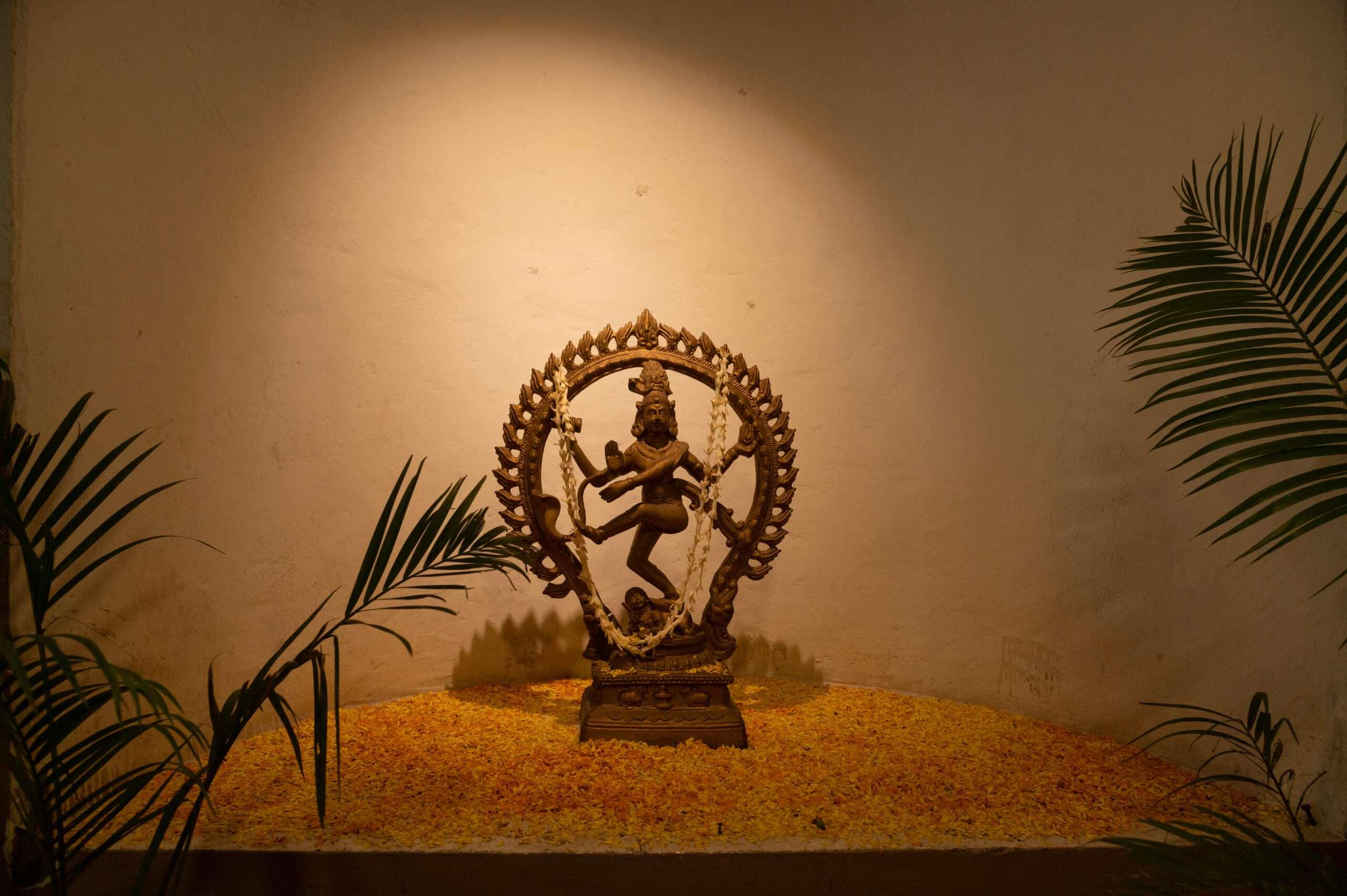 IACG Multimedia College Hyderabad Events photo 95