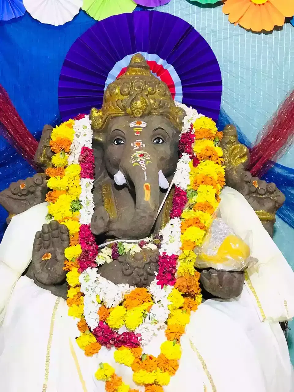 IACG Multimedia College Hyderabad Events photo 136