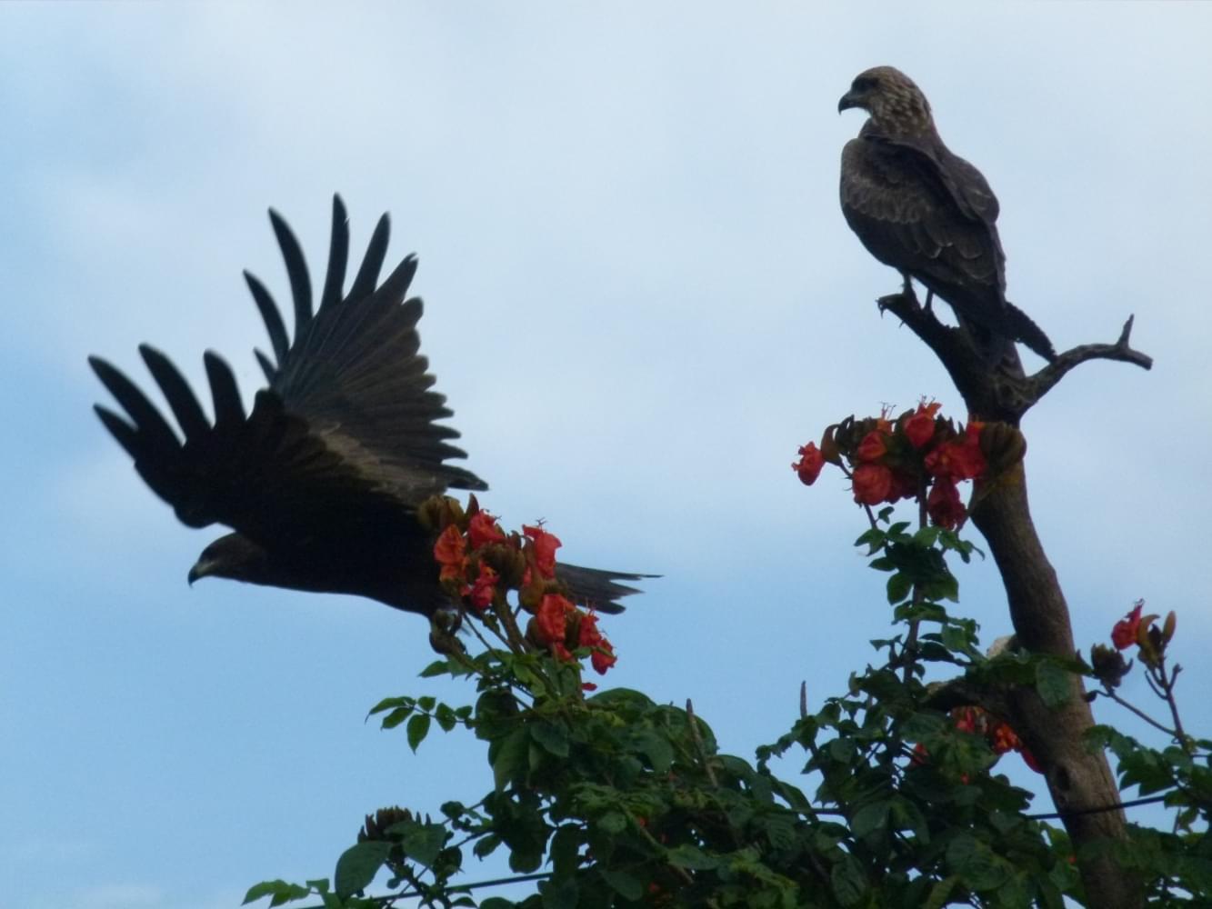 NICC International College of Design Bangalore Events photo 101