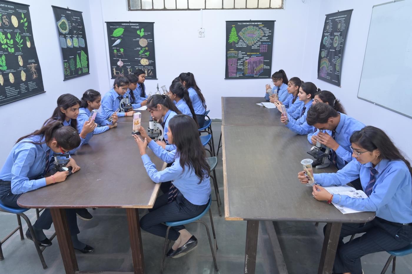 HLM Group of Institutions Ghaziabad Library & Labs photo 10