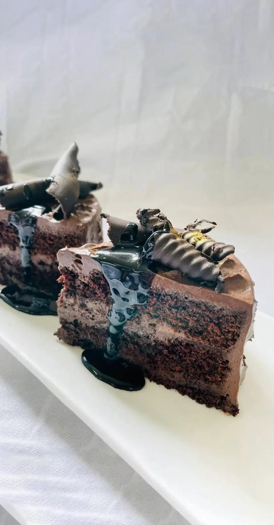 NFCI Hotel Management Institute Dehradun Creations photo 5