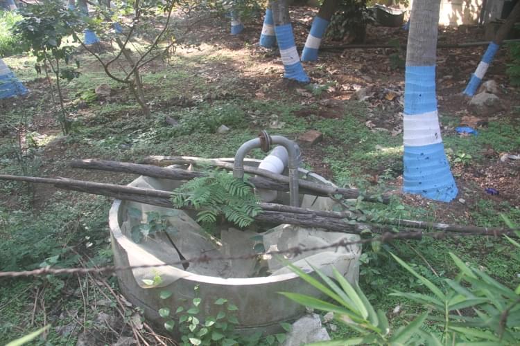 St. Philomena's College Mysore Building photo 11