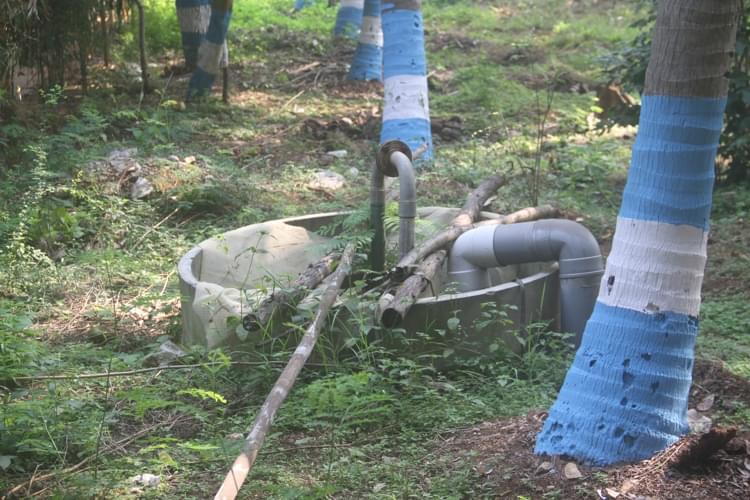 St. Philomena's College Mysore Building photo 14