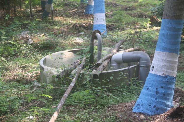 St. Philomena's College Mysore Building photo 15