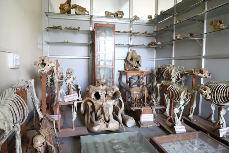 St. Philomena's College Mysore Labs photo 10