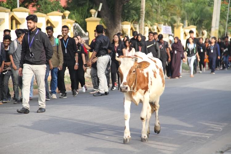 St. Philomena's College Mysore Student Activity photo 31