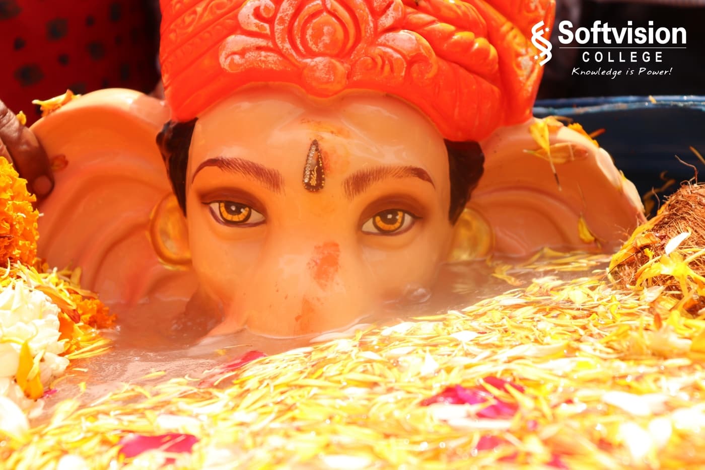 Softvision College Indore Celebrations photo 20