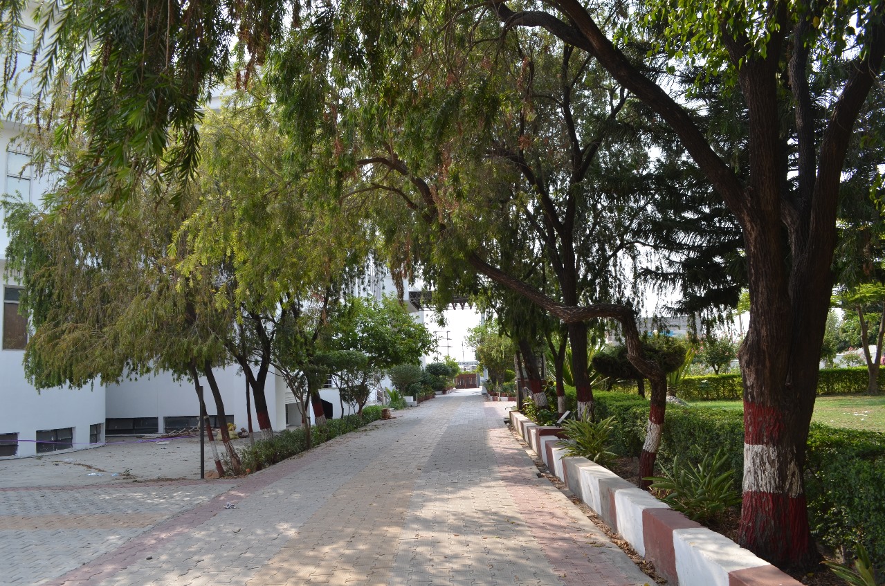 Uttaranchal Dental and Medical Research Institute Dehradun Buildings photo 8
