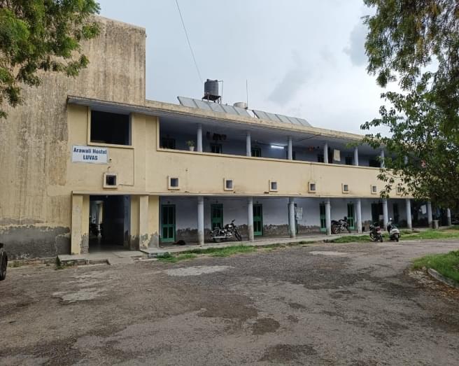 LUVAS hostel photo 1