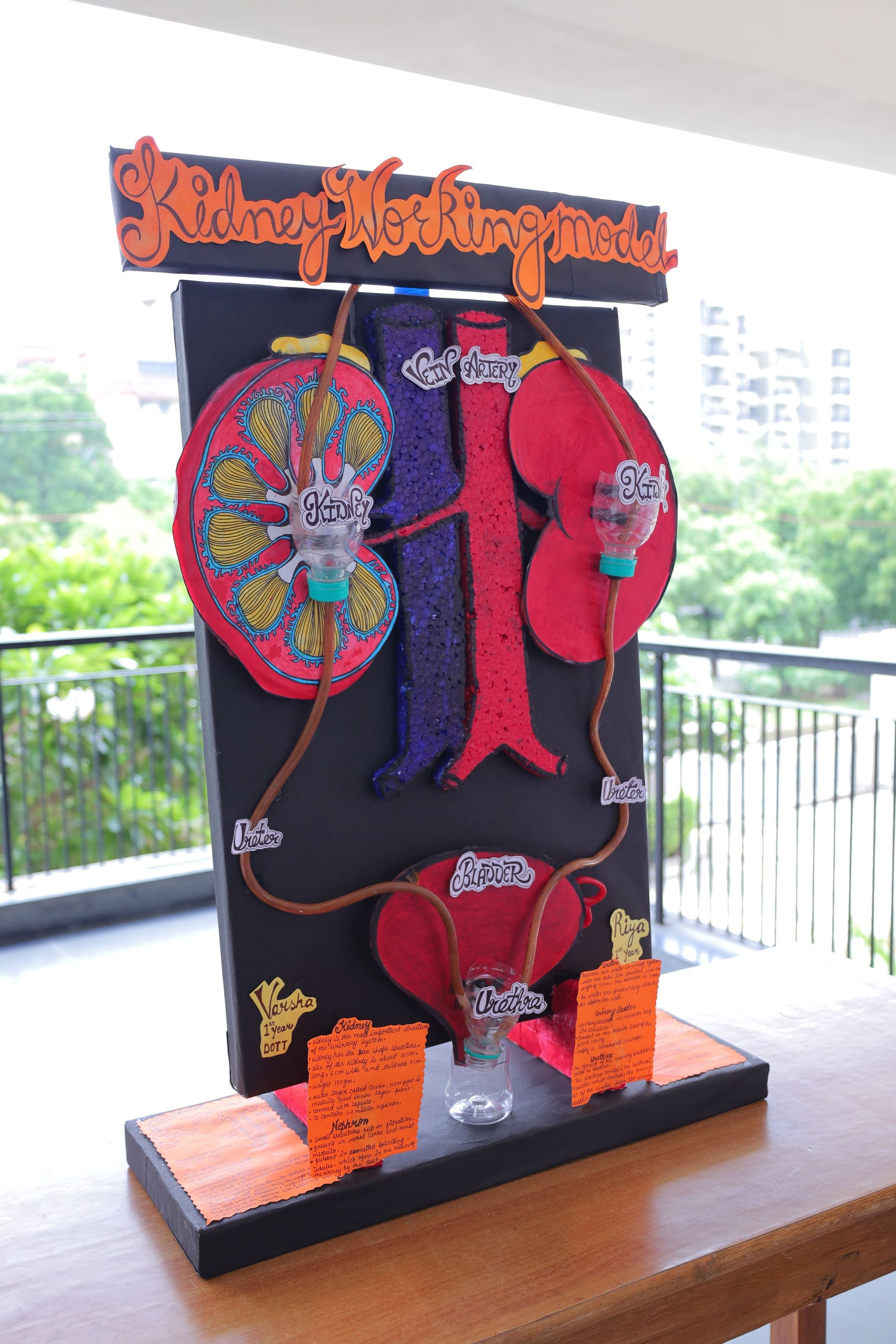 Integrated Institute of Medical and Health Sciences New Delhi Events photo 14