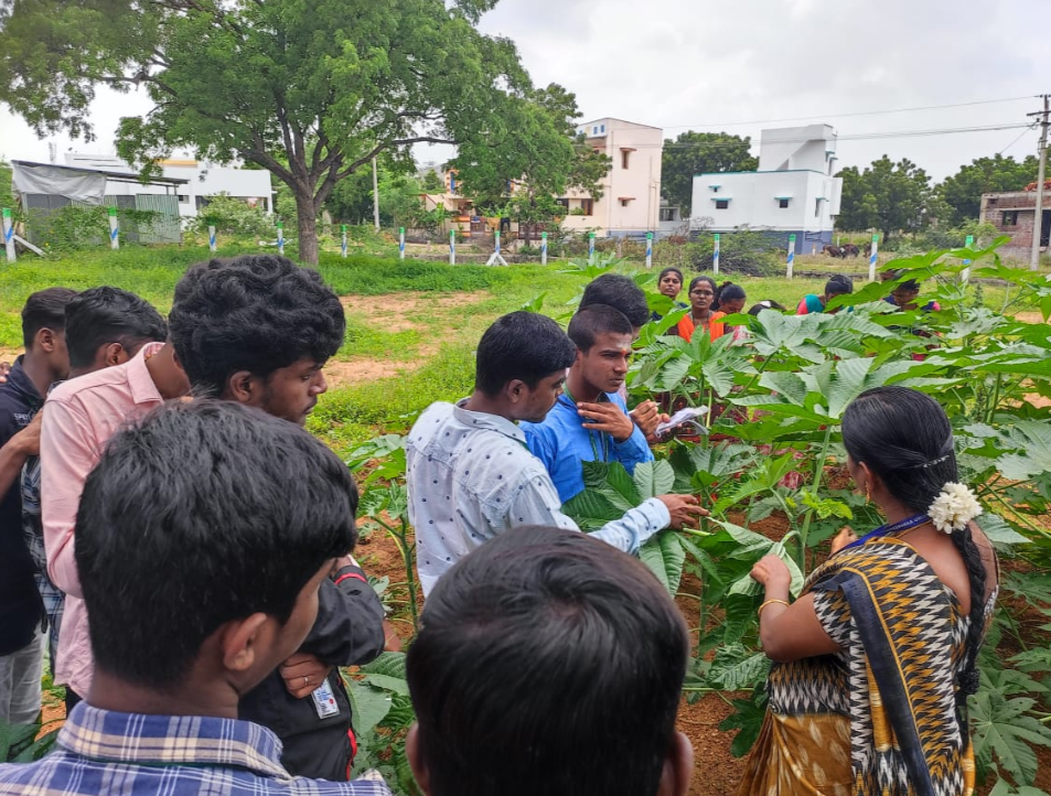 Sri Venkateswaraa University Ettayapuram Agricultural campus photo 3