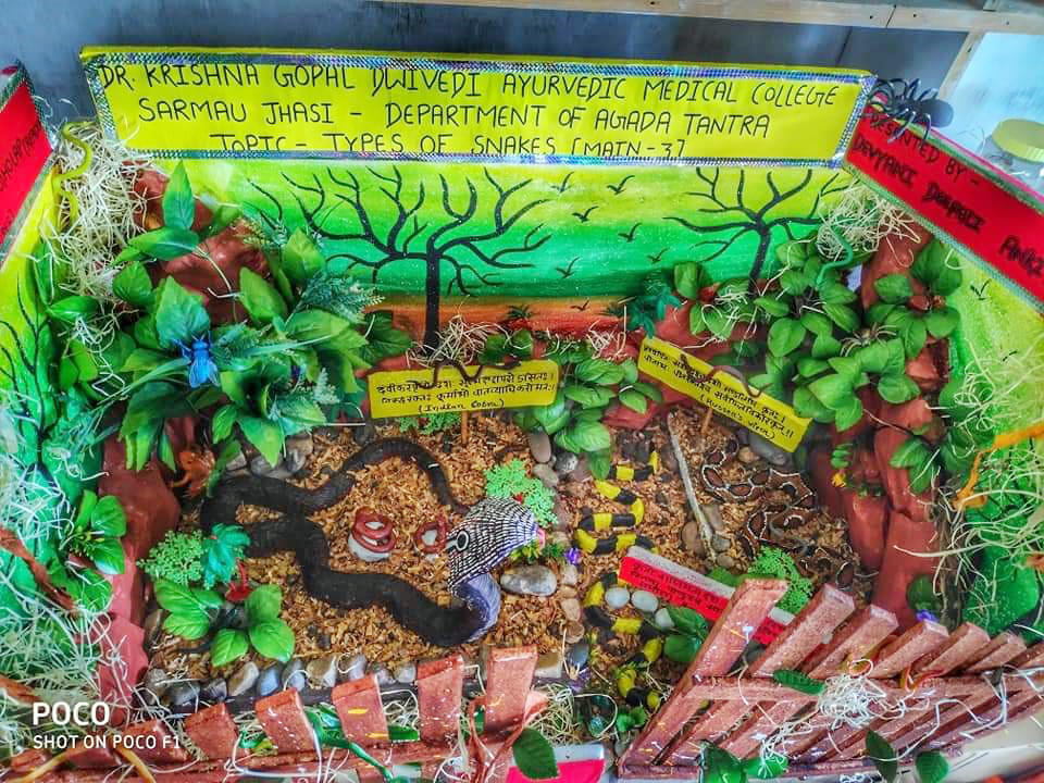 Dr. Krishna Gopal Dwivedi Ayurvedic Medical College and Hospital Jhansi Laboratory photo 6