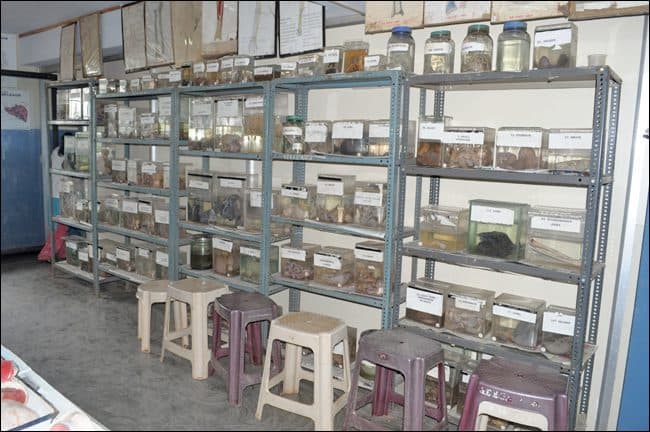 Shree Shiv Basav Jyoti Homoeopathic Medical College Hospital and Research Centre Belgaum Labs photo 2