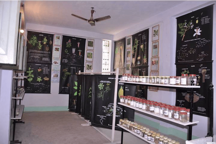 Salfia Unani Medical College & Hospital, Laheriasarai Darbhanga Sulfia Unani Medical College & Hospital Campus Overview photo 3