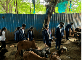 DY Patil PGDM Institute Akurdi Pune Gurukulam Asharam photo 1