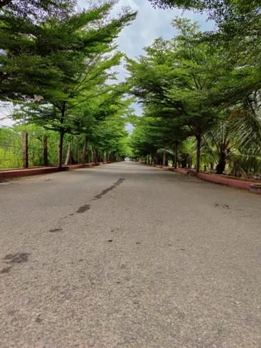 BSD College of Allied Health Sciences Coimbatore Infrastructure photo 22