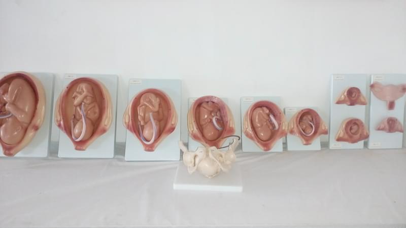 Dhanbad School of Nursing Infrastructure photo 9