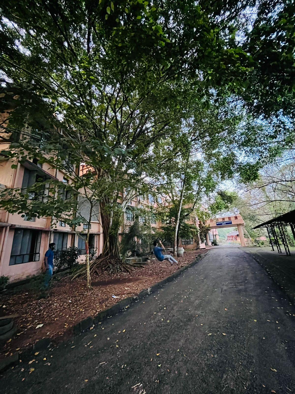 RIT Kottayam College Campus photo 4