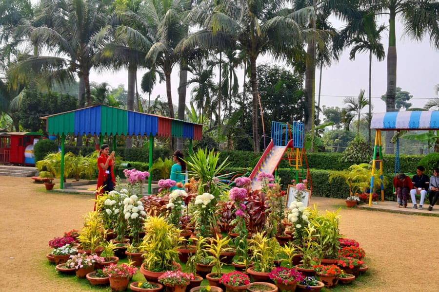 Panchur College Kolkata The Panchur College annual picnic January 2020 photo 2