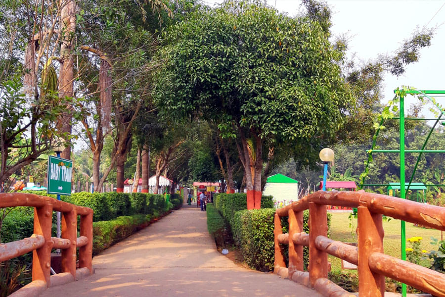 Panchur College Kolkata The Panchur College annual picnic January 2020 photo 1