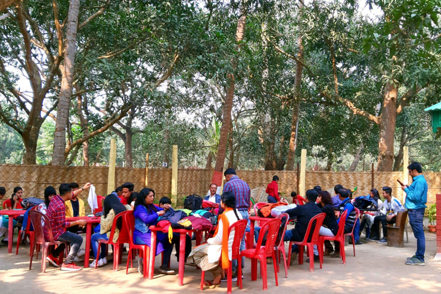 Panchur College Kolkata The Panchur College annual picnic January 2020 photo 6