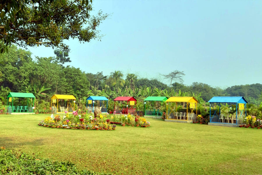 Panchur College Kolkata The Panchur College annual picnic January 2020 photo 5