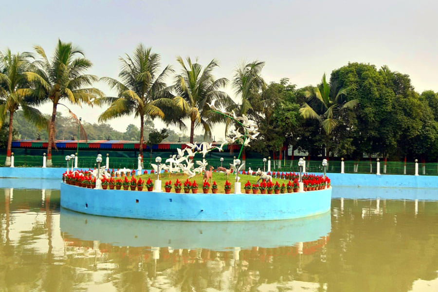 Panchur College Kolkata The Panchur College annual picnic January 2020 photo 4