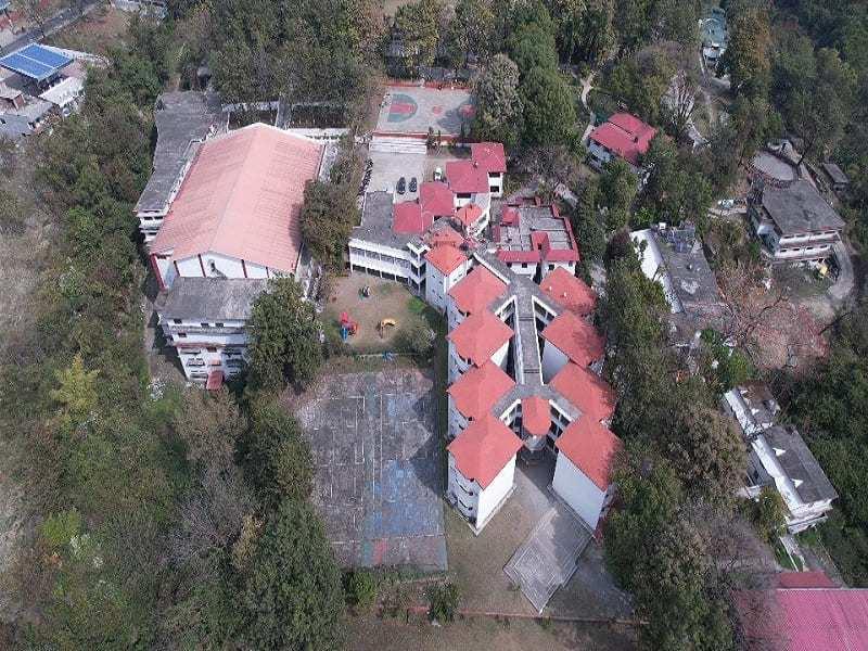 Pestleweed College Dehradun  photo 2