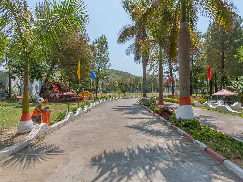 Pestleweed College Dehradun  photo 5