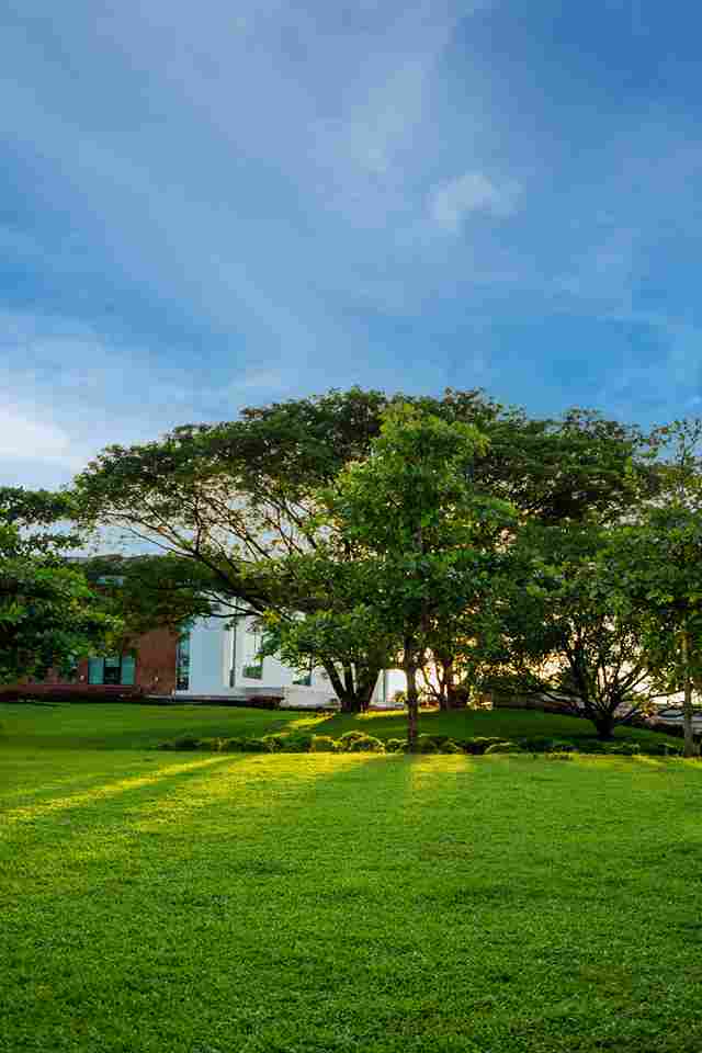 GIM Goa Campus photo 22