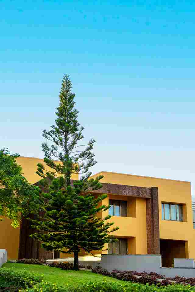 GIM Goa Campus photo 23