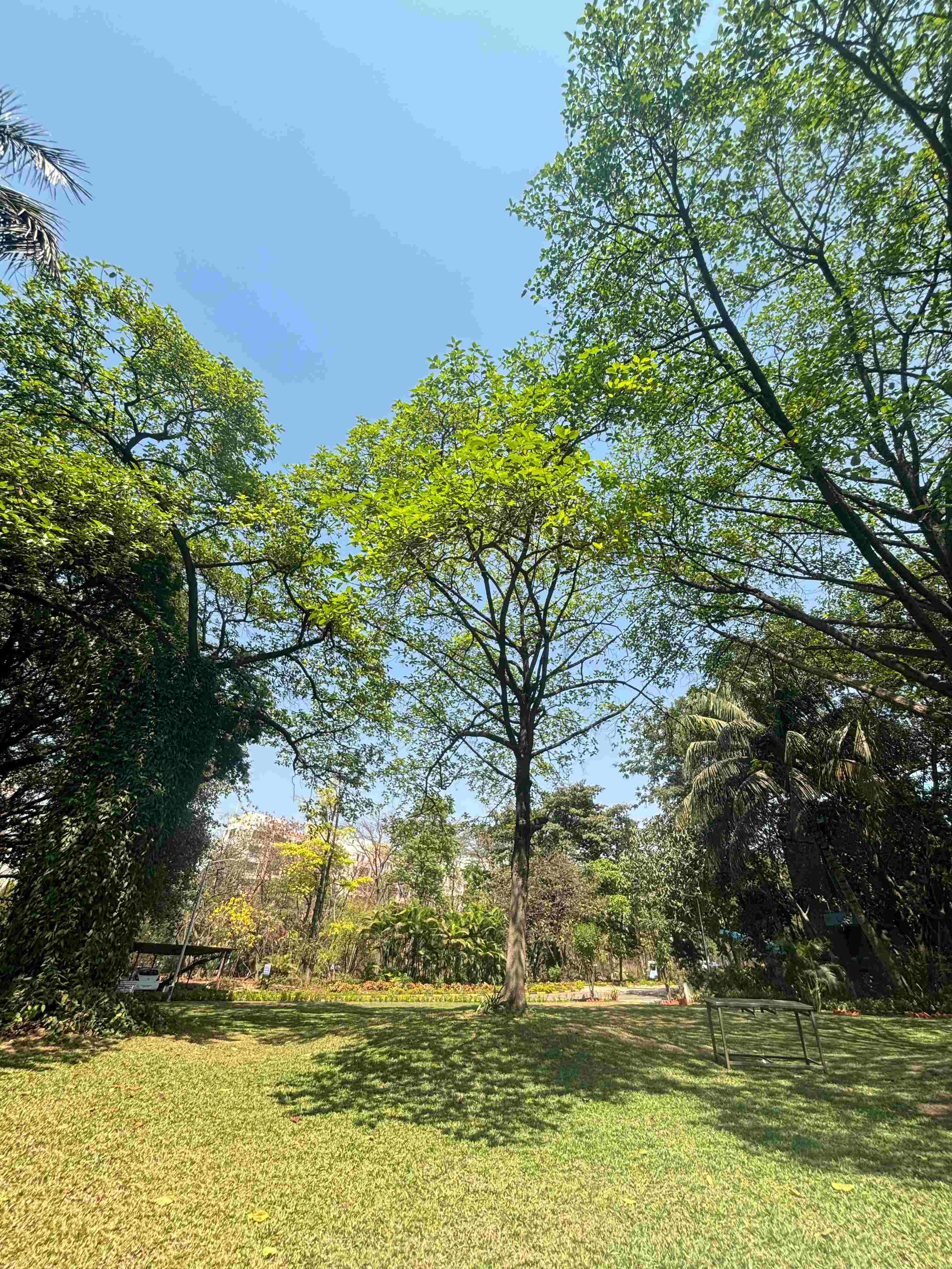 NIBM Pune Campus photo 1