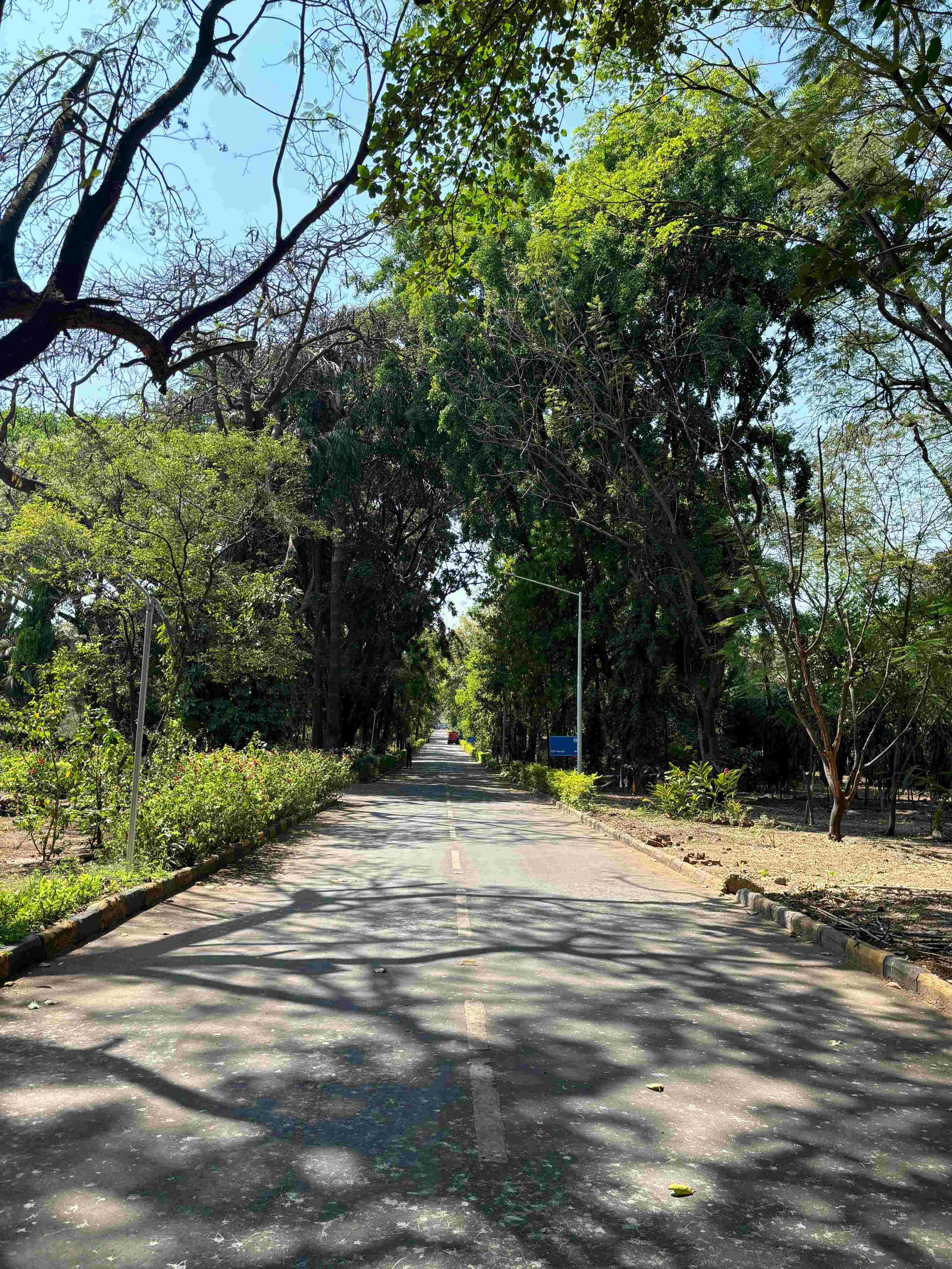 NIBM Pune Campus photo 2