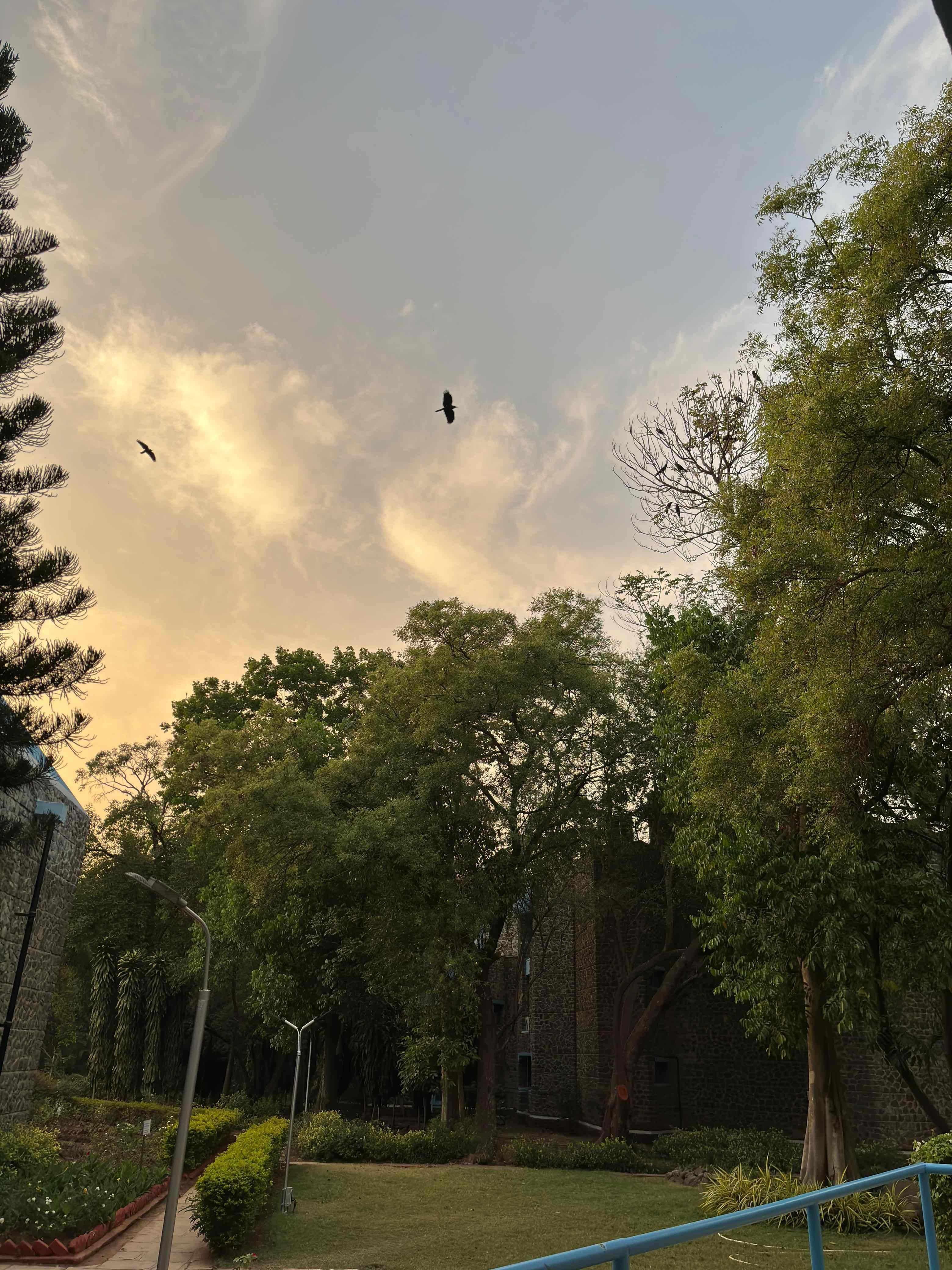 NIBM Pune Campus photo 4