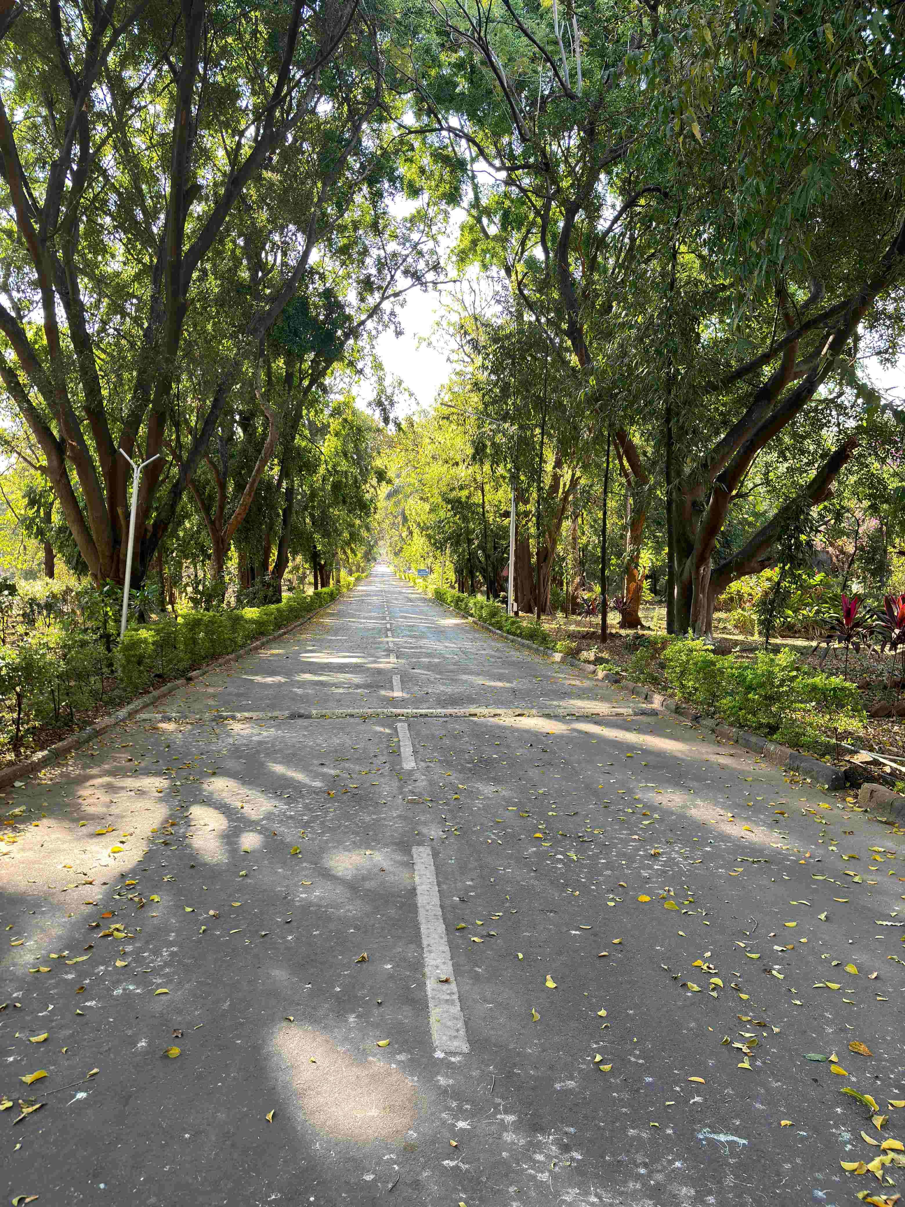 NIBM Pune Campus photo 5