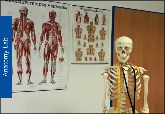 St Xavier’s International School of Nursing Dhanbad  photo 3