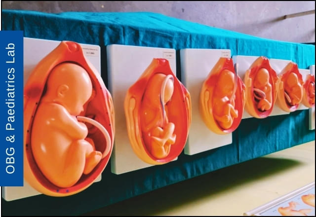 St Xavier’s International School of Nursing Dhanbad  photo 4