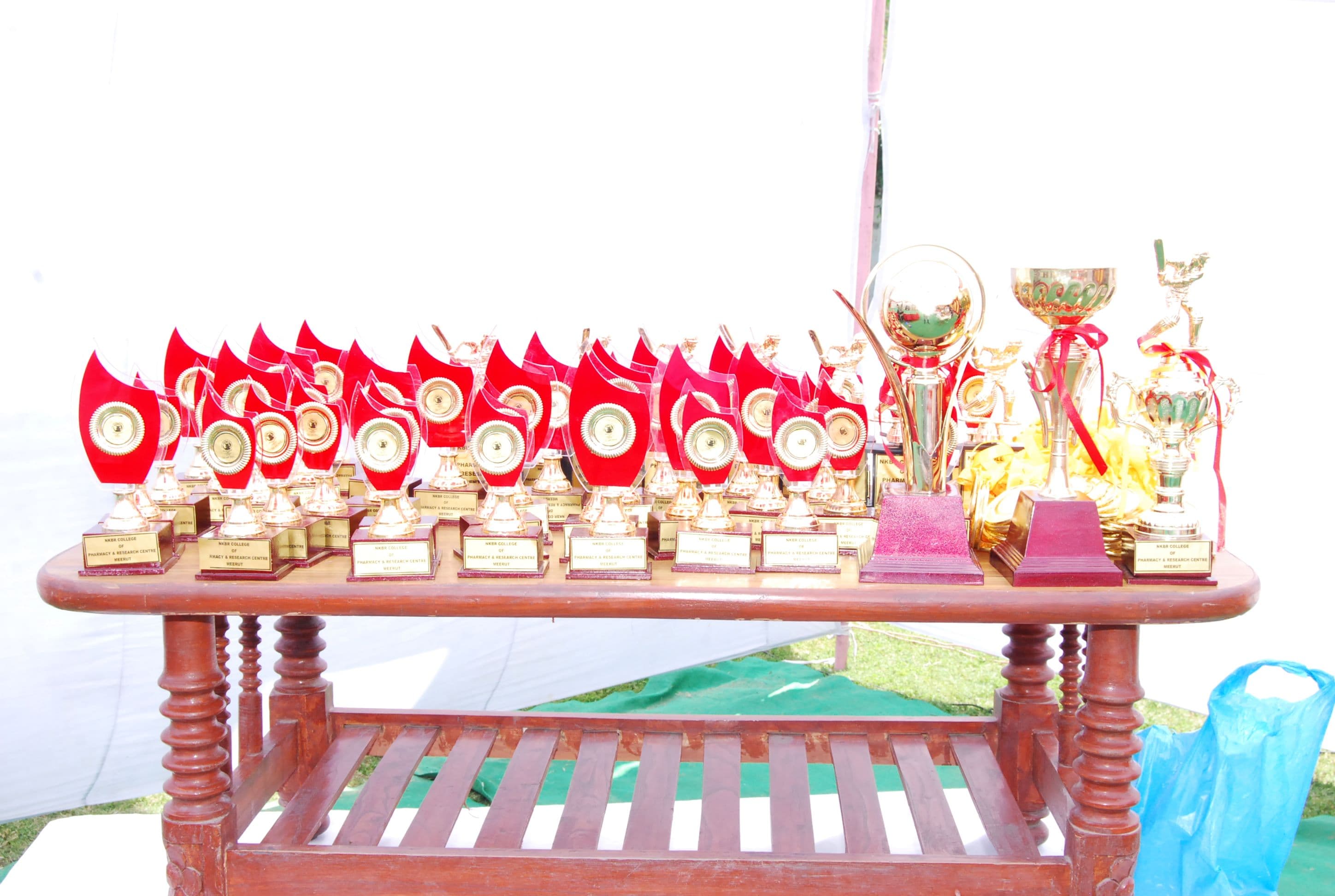 NKBR College of Pharmacy & Research Centre Meerut Events photo 35