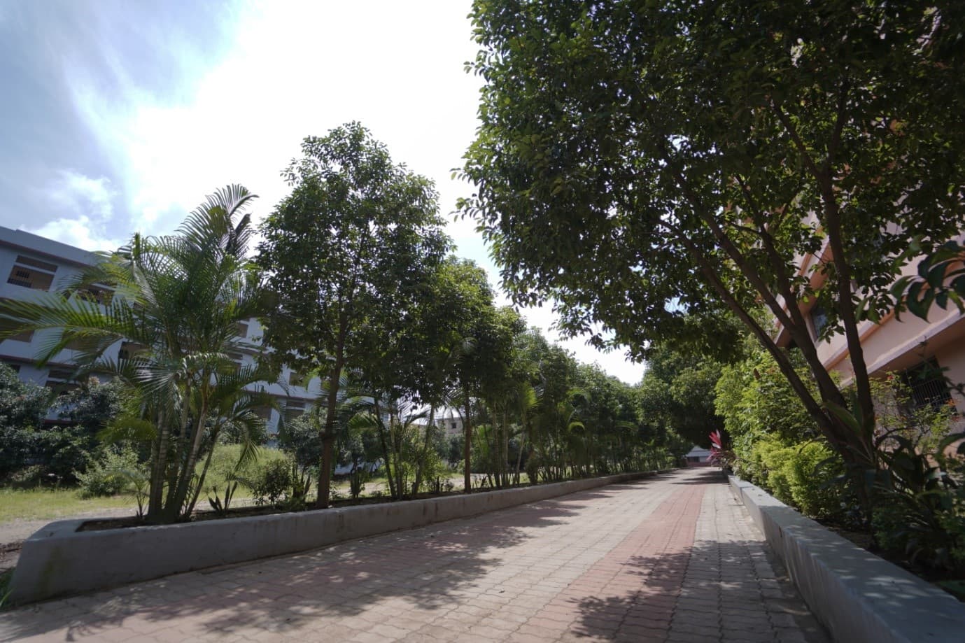 Dr. Ambedkar Institute of Pharmaceutical Science Rourkela Infrastructure photo 21