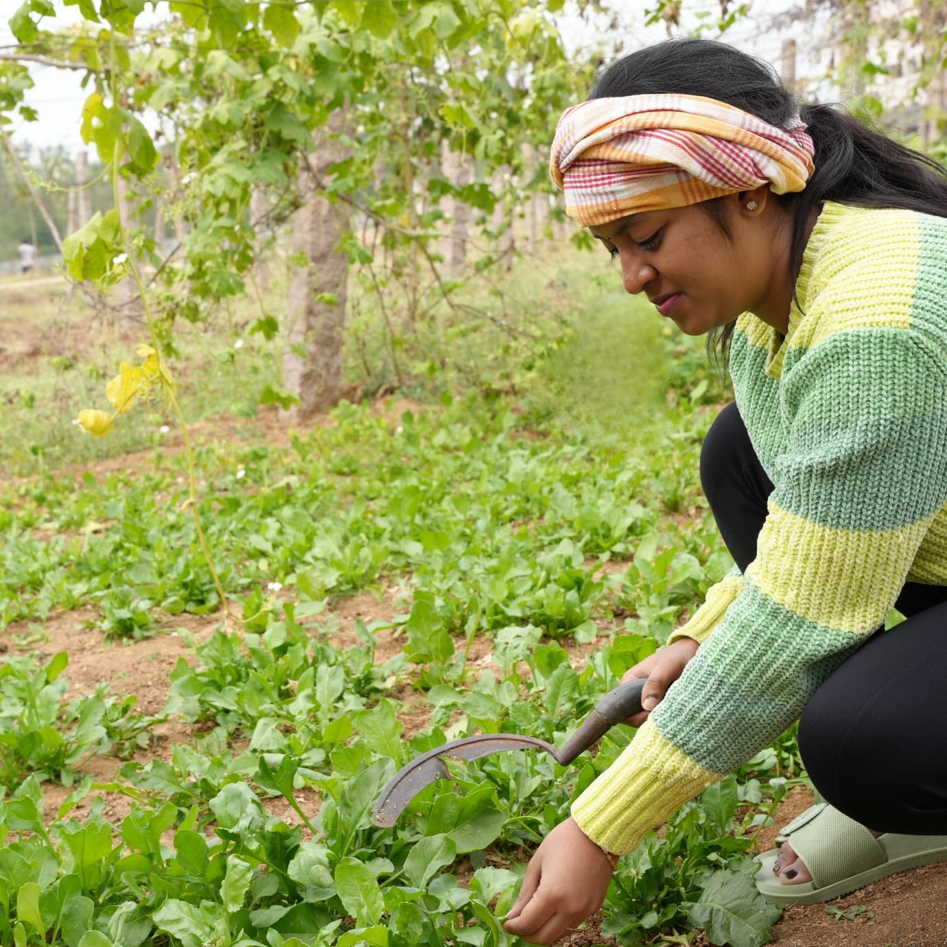 Vignana Jyothi Institute of Management Hyderabad Extra Curriculars photo 4