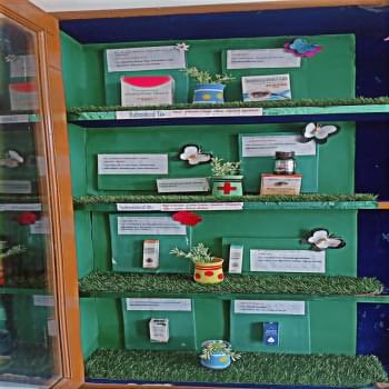 S N College of Pharmacy Events photo 42