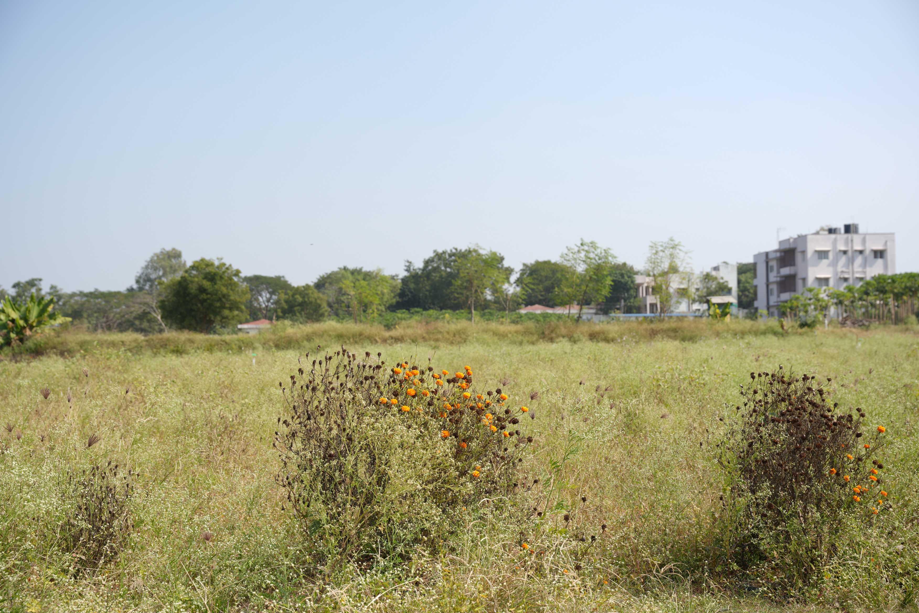 Vignana Jyothi Institute of Management Hyderabad Rural Immersion Program photo 14